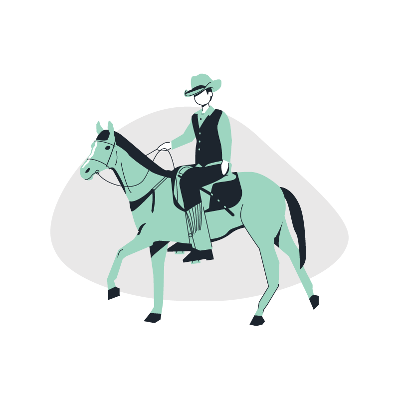 a cowboy on a horse